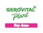 gerovital plant acnee